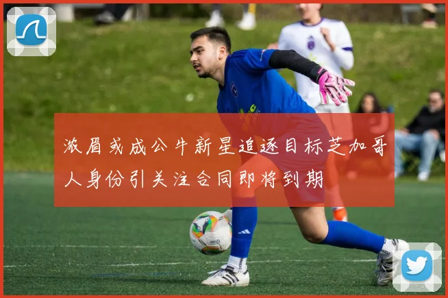 浓眉或成公牛新星追逐目标芝加哥人身份引关注合同即将到期